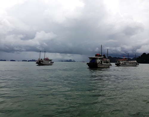 Bahía de Halong, una joya de la naturaleza vietnamita ảnh 4 Bahía de Halong, una joya de la naturaleza vietnamita ảnh 4