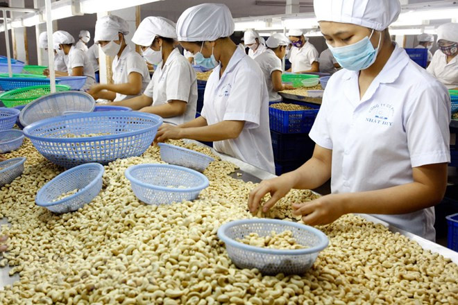 Provincia vietnamita logrará superávit comercial récord en 2018 ảnh 1