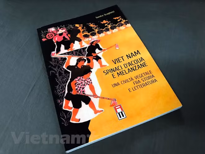 Autora italiana presenta libro sobre gastronomía de Vietnam ảnh 1