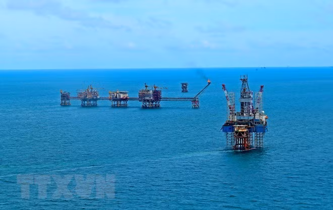 Grupo petrolero vietnamita cumple meta trazada para 2018 ảnh 1 Grupo petrolero vietnamita cumple meta trazada para 2018 ảnh 1