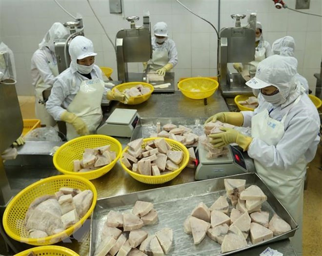 Vietnam despliega varias políticas para el levantamiento de tarjeta amarilla de UE ảnh 1 Vietnam despliega varias políticas para el levantamiento de tarjeta amarilla de UE ảnh 1