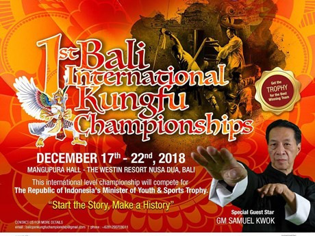 Celebran en Indonesia primera edición de Campeonato Internacional de Kungfu ảnh 1 Celebran en Indonesia primera edición de Campeonato Internacional de Kungfu ảnh 1