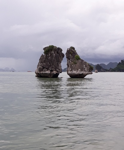 Bahía de Halong, una joya de la naturaleza vietnamita ảnh 5 Bahía de Halong, una joya de la naturaleza vietnamita ảnh 5
