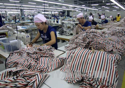 TPP: ventaja para avance en general de confección pero reto para empresas domésticas ảnh 1