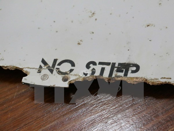 Búsqueda de restos del MH370 continuará en Mozambique y Sudáfrica ảnh 1 Búsqueda de restos del MH370 continuará en Mozambique y Sudáfrica ảnh 1