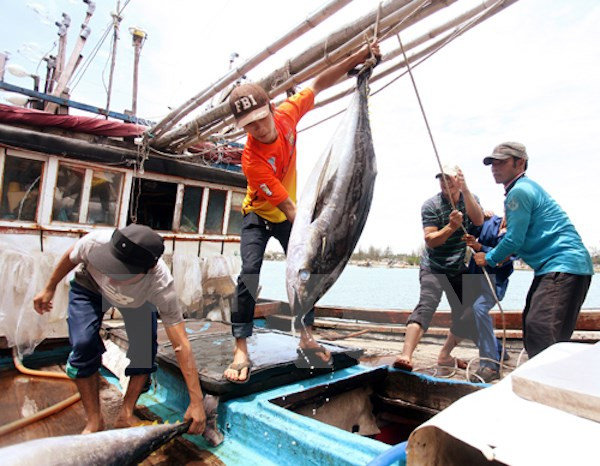Fijan reglas para envío de trabajadores vietnamitas a Tailandia ảnh 1 Fijan reglas para envío de trabajadores vietnamitas a Tailandia ảnh 1