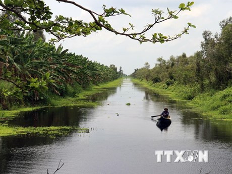 Recibe Vietnam casi ocho millones 500 mil turistas extranjeros en la primera mitad de 2019 ảnh 1 Recibe Vietnam casi ocho millones 500 mil turistas extranjeros en la primera mitad de 2019 ảnh 1