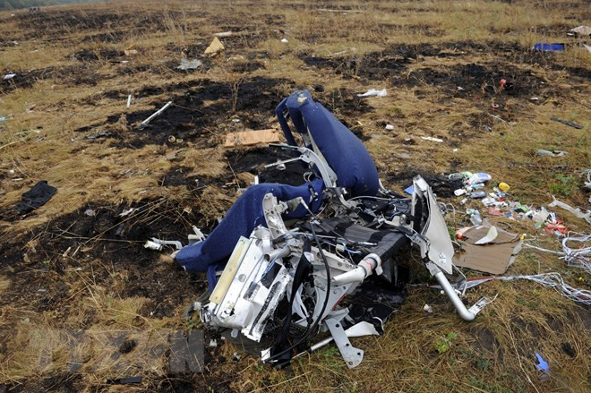 Cuestiona Malasia informe de Equipo Investigación Internacional sobre accidente del avión MH17 ảnh 1 Cuestiona Malasia informe de Equipo Investigación Internacional sobre accidente del avión MH17 ảnh 1