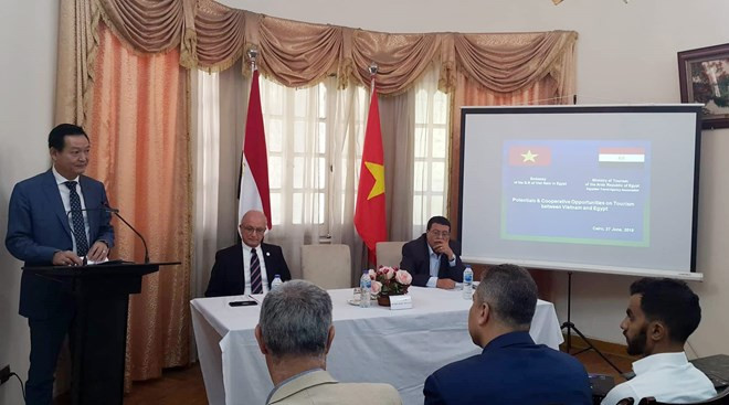 Promueven Vietnam y Egipto cooperación en turismo ảnh 1