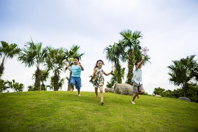 Inaugurado primer parque de aventuras en Vietnam ảnh 1