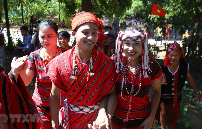 Celebrarán en Vietnam el Festival de Familias ảnh 1