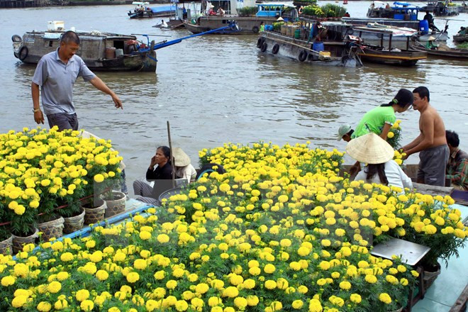 Seminario busca medidas para el desarrollo turístico del Delta de Mekong ảnh 1 Seminario busca medidas para el desarrollo turístico del Delta de Mekong ảnh 1