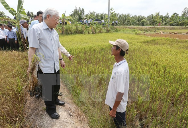 Líder partidista vietnamita revisa trabajos contra salinización en delta de Mekong ảnh 1 Líder partidista vietnamita revisa trabajos contra salinización en delta de Mekong ảnh 1