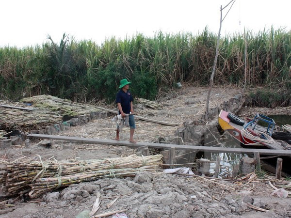 Comisión Mixta de Mekong debate uso de recursos hídricos del río ảnh 1 Comisión Mixta de Mekong debate uso de recursos hídricos del río ảnh 1