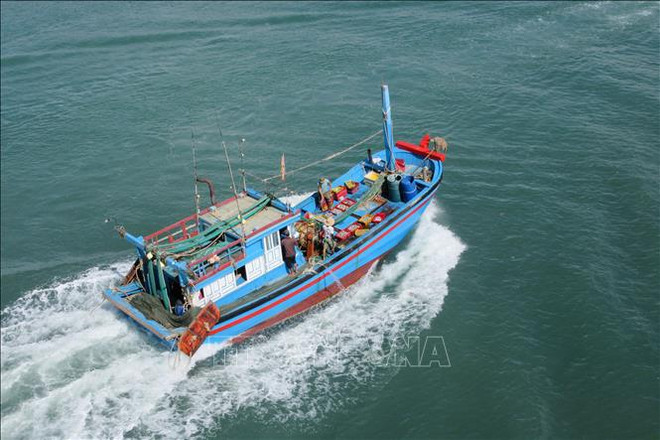 Vietnam fortalece el desarrollo sostenible de la economía marina ảnh 1 Vietnam fortalece el desarrollo sostenible de la economía marina ảnh 1