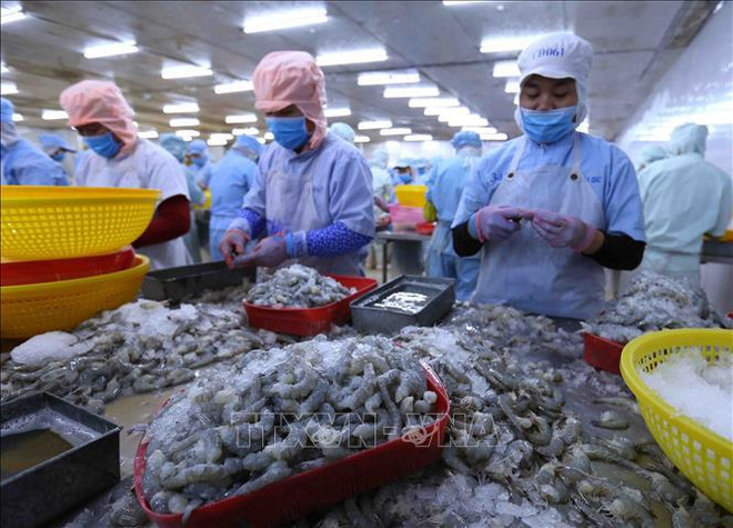 Fortalecen la competitividad del camarón vietnamita ảnh 1 Fortalecen la competitividad del camarón vietnamita ảnh 1