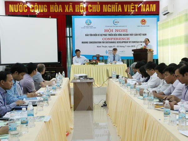 Vietnam elabora plan de acción para proteger tortugas ảnh 1