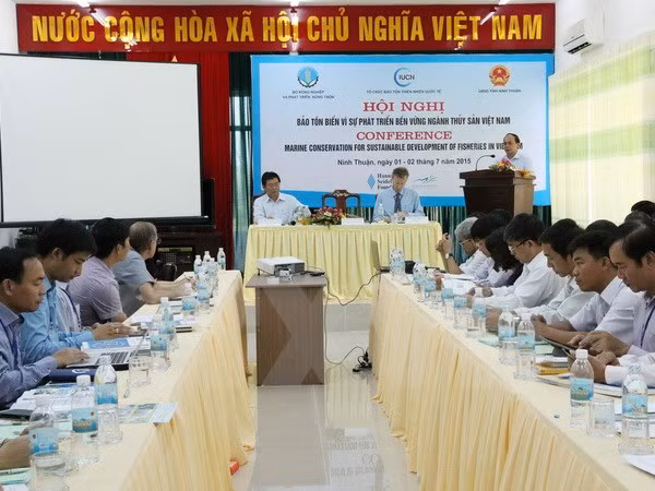 Vietnam elabora plan de acción para proteger tortugas ảnh 1