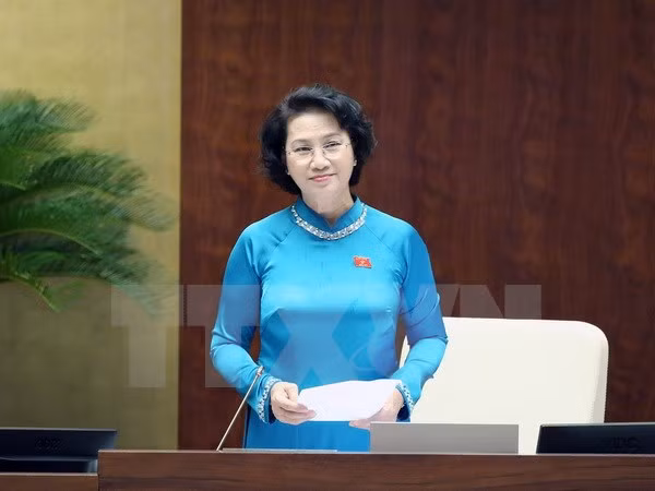 Parlamento vietnamita termina sesiones de interpelación ảnh 1