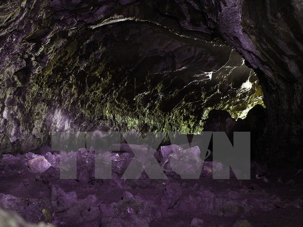 Turistas podrán explorar magníficas cuevas volcánicas en Vietnam ảnh 1 Turistas podrán explorar magníficas cuevas volcánicas en Vietnam ảnh 1