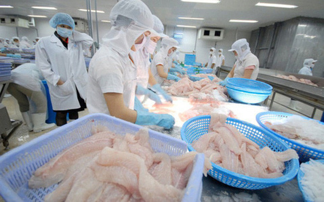 Ventas de productos acuáticos de Vietnam superarán ocho mil millones de dólares en 2021 ảnh 1 Ventas de productos acuáticos de Vietnam superarán ocho mil millones de dólares en 2021 ảnh 1