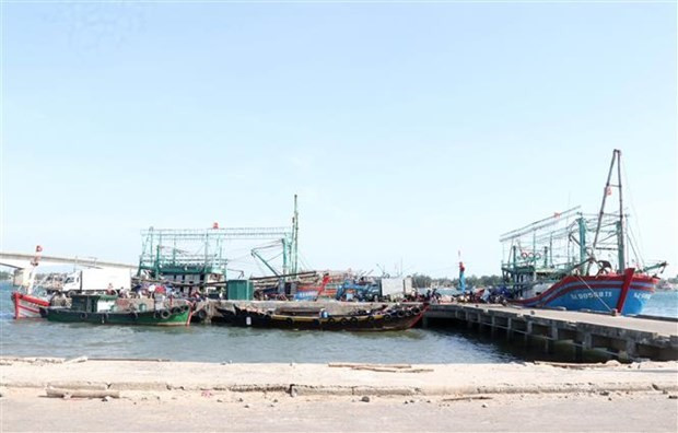 Comisión Europea aprecia los esfuerzos de Vietnam contra pesca ilegal ảnh 1