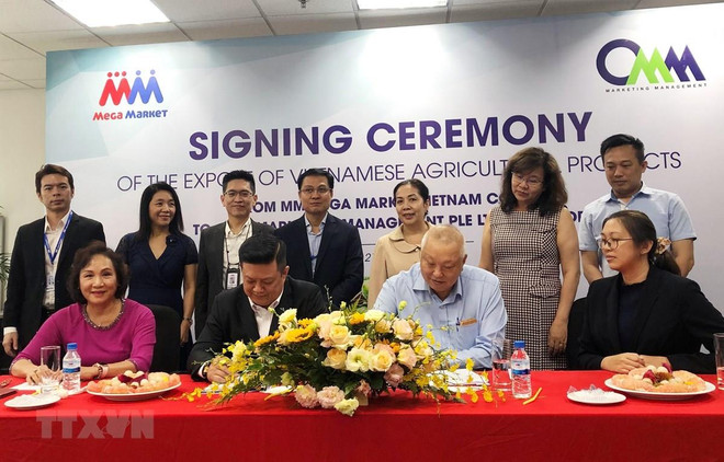 Exportarán 20 toneladas de productos agrícolas vietnamitas a Singapur en septiembre ảnh 1 Exportarán 20 toneladas de productos agrícolas vietnamitas a Singapur en septiembre ảnh 1