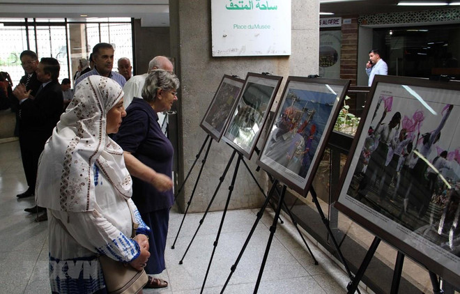 Presentan en Argelia documental sobre Vietnam ảnh 1 Presentan en Argelia documental sobre Vietnam ảnh 1