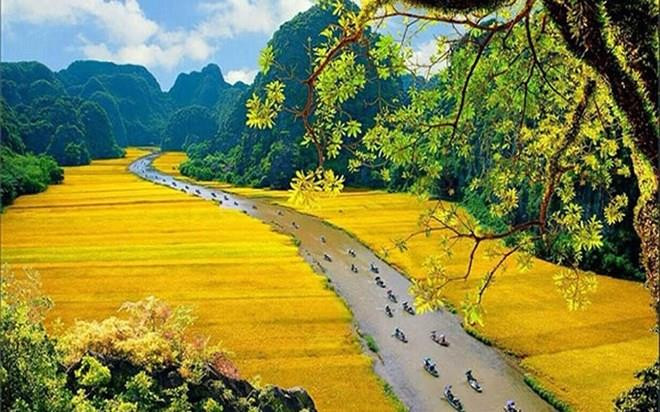 Lanza provincia vietnamita de Ninh Binh campaña de promoción turística en aplicación de medios TikTok ảnh 1