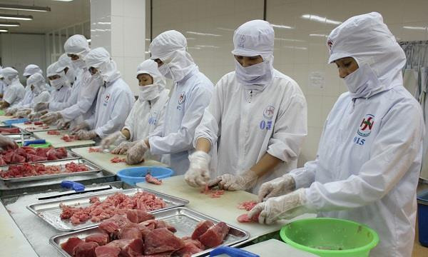 Incrementa Vietnam exportaciones de atún a Estados Unidos ảnh 1 Incrementa Vietnam exportaciones de atún a Estados Unidos ảnh 1