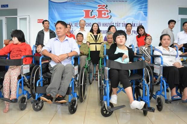 Proponen seguro de salud para cubrir implementos de asistencia para discapacitados ảnh 1