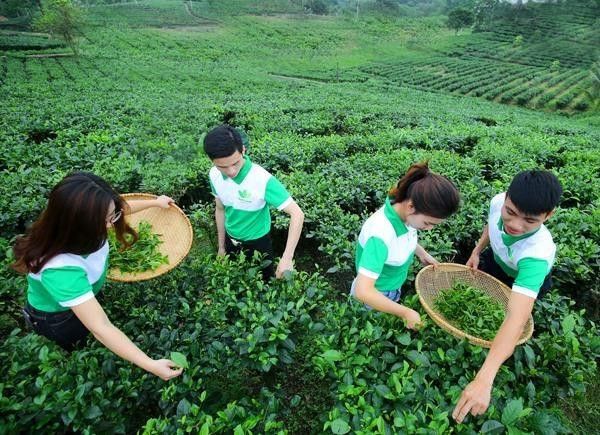 Comunidad empresarial de Vietnam busca encaminarse hacia desarrollo sostenible ảnh 1 Comunidad empresarial de Vietnam busca encaminarse hacia desarrollo sostenible ảnh 1