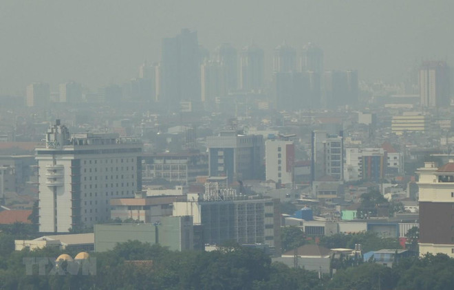 Plantea Indonesia trasladar su capital a isla de Borneo ảnh 1 Plantea Indonesia trasladar su capital a isla de Borneo ảnh 1