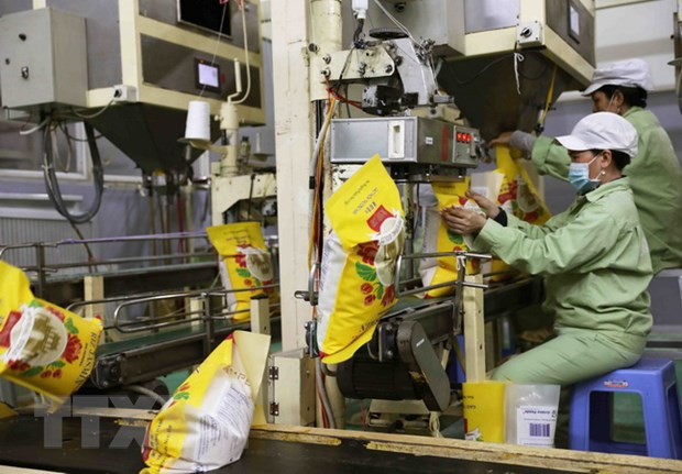 Grupo vietnamita Loc Troi exporta más de cuatro mil toneladas de arroz a Europa ảnh 1 Grupo vietnamita Loc Troi exporta más de cuatro mil toneladas de arroz a Europa ảnh 1