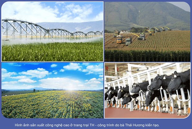 Rebaño lechero del grupo vietnamita TH da producción media más alta de Rusia ảnh 4 Rebaño lechero del grupo vietnamita TH da producción media más alta de Rusia ảnh 4