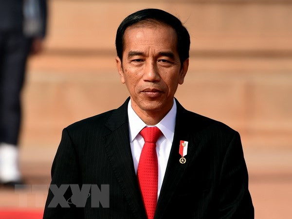 Gobierno de Indonesia revisa proyectos estratégicos nacionales ảnh 1