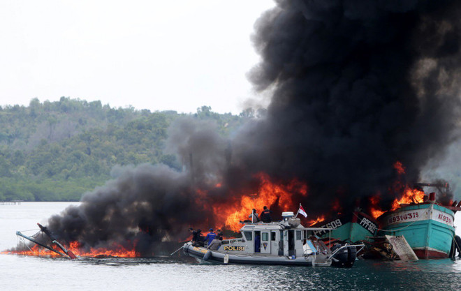 Indonesia detiene 26 barcos por pesca ilegal en lo que va de año ảnh 1 Indonesia detiene 26 barcos por pesca ilegal en lo que va de año ảnh 1