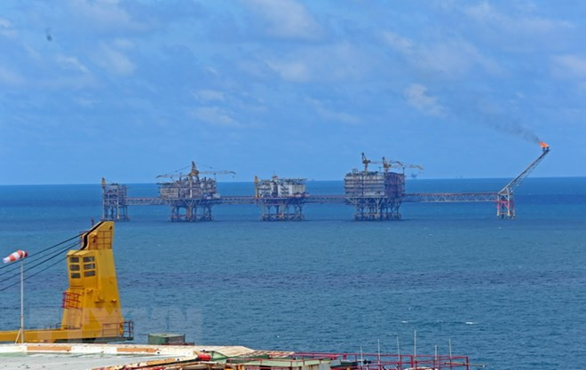 Vietnam es mercado potencial de empresas rusas, sostienen en foro empresarial ảnh 1