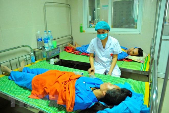 Reportan tres fallecidos por dengue en Vietnam ảnh 1 Reportan tres fallecidos por dengue en Vietnam ảnh 1