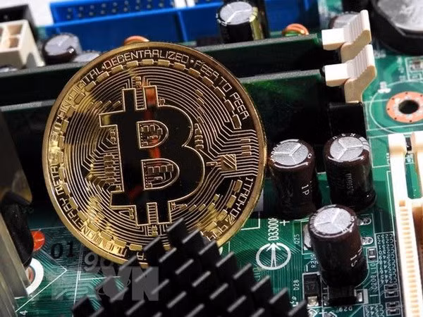 Vietnam efectuará ensayo para contrarrestar ataques por virus de criptomonedas ảnh 1