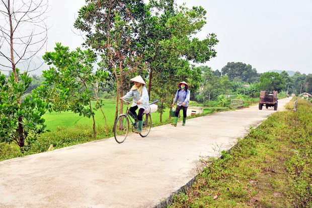 Provincia vietnamita despliega políticas de apoyo a minorías étnicas ảnh 1