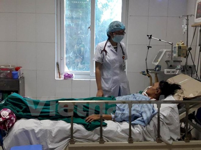 Aumentan casos de dengue en Hanoi ảnh 1 Aumentan casos de dengue en Hanoi ảnh 1