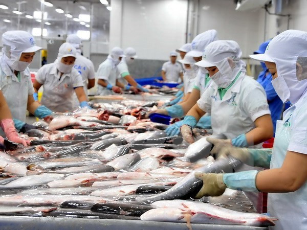 Empresas exportadoras vietnamitas se esfuerzan para entrar al mercado europeo ảnh 1 Empresas exportadoras vietnamitas se esfuerzan para entrar al mercado europeo ảnh 1