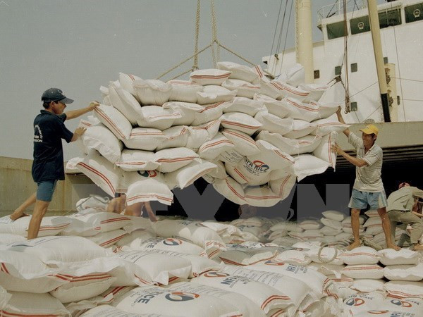 Empresas vietnamitas participarán en licitación de 250 mil toneladas de arroz para Filipinas ảnh 1