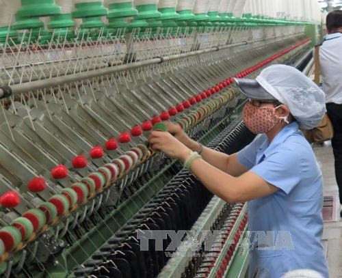 Empresas de India buscan impulsar exportaciones de maquinaria textil a Vietnam ảnh 1