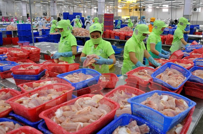 Vietnam ingresa fondo multimillonario por venta al exterior de productos acuáticos ảnh 1 Vietnam ingresa fondo multimillonario por venta al exterior de productos acuáticos ảnh 1