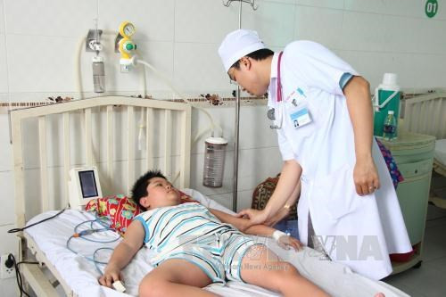 Incrementan casos de dengue en región vietnamita del Delta del Río Mekong ảnh 1 Incrementan casos de dengue en región vietnamita del Delta del Río Mekong ảnh 1