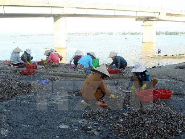 Provincia de Bac Giang busca elevar el valor del sector acuícola ảnh 1 Provincia de Bac Giang busca elevar el valor del sector acuícola ảnh 1