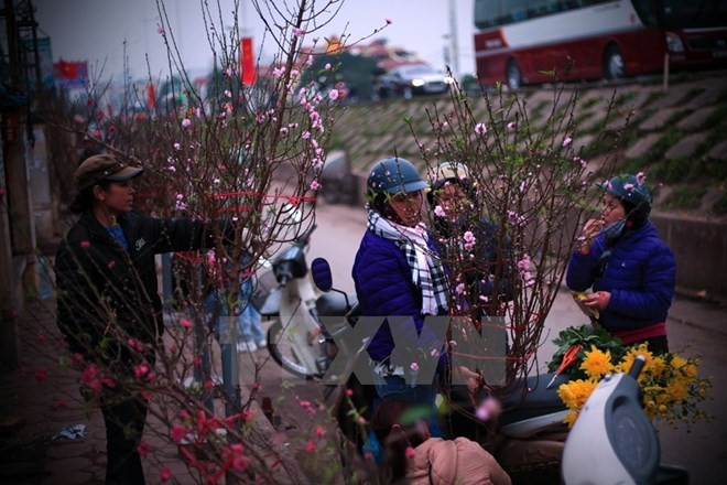 Premier de Vietnam da luz verde a propuesta de siete días de asueto por el Tet ảnh 1 Premier de Vietnam da luz verde a propuesta de siete días de asueto por el Tet ảnh 1