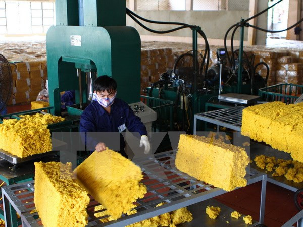 Vietnam espera unirse a Consejo Tripartito Internacional de Caucho ảnh 1 Vietnam espera unirse a Consejo Tripartito Internacional de Caucho ảnh 1